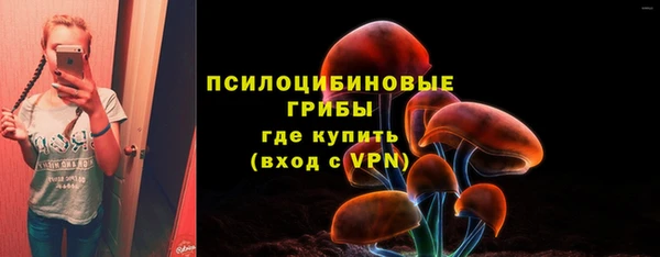 стаф Гусиноозёрск