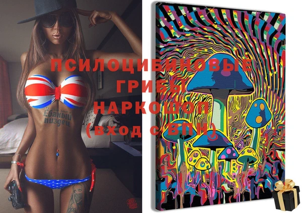 стаф Гусиноозёрск