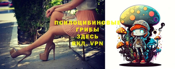 стаф Гусиноозёрск