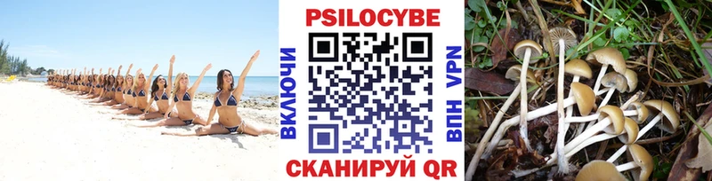 Галлюциногенные грибы прущие грибы  Купить закладки  Когалым 